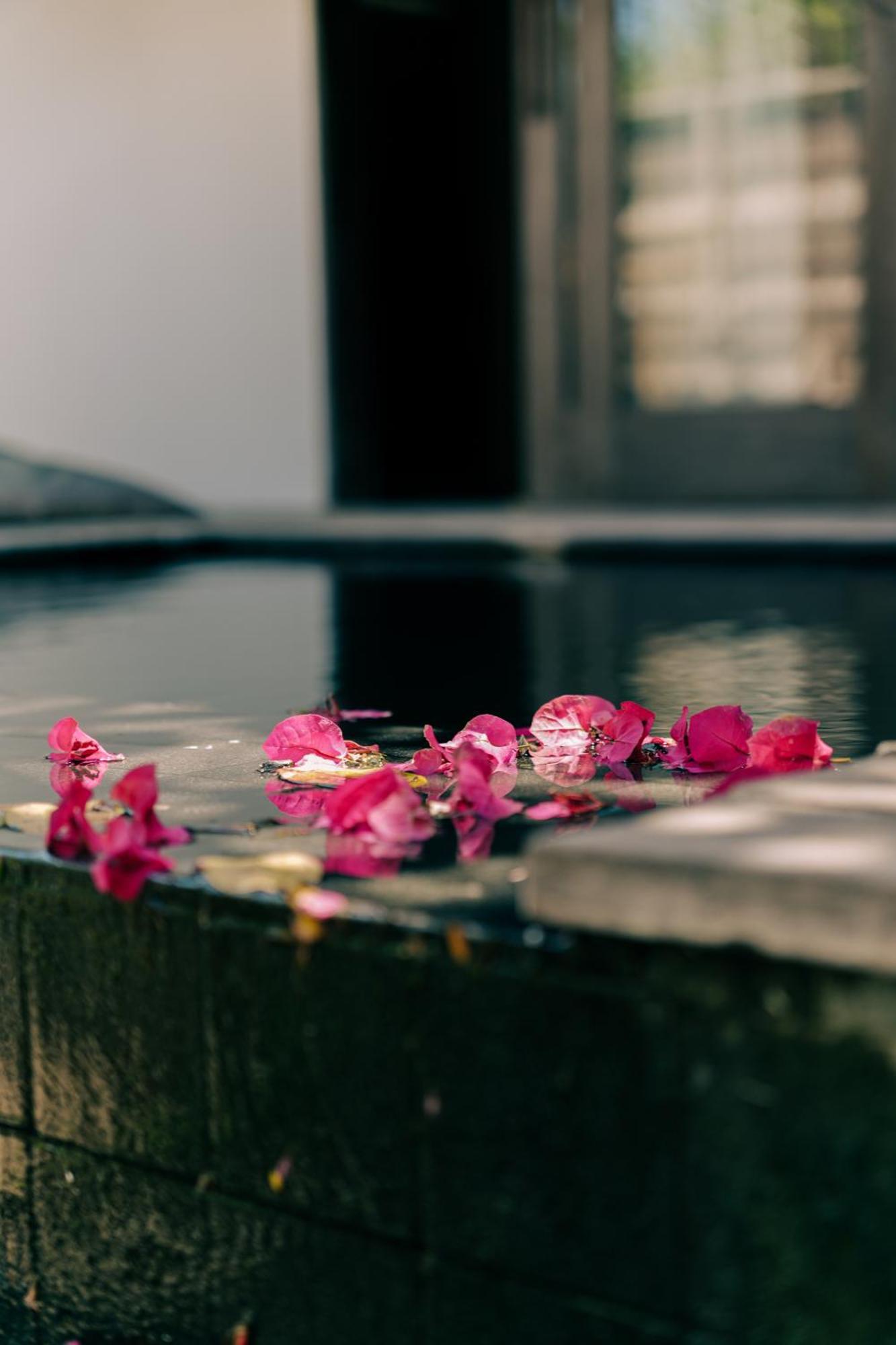 Anacardier Prive Hotel Atins Dış mekan fotoğraf